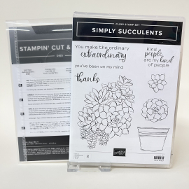 Produktpaket Simply Succulents