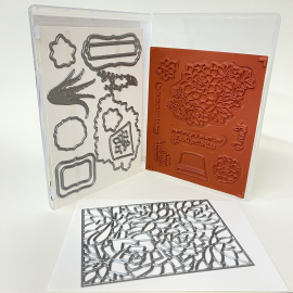 Produktpaket Simply Succulents