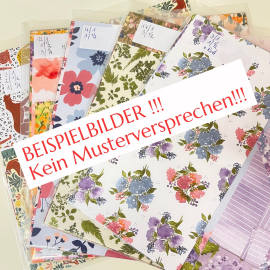 DSP Set bunt gemischt in 12" x 12"