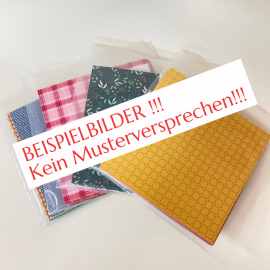 DSP Set bunt gemischt in 6" x 6"