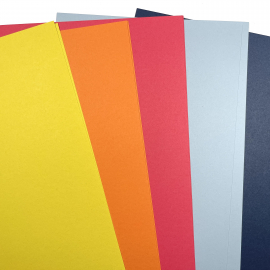Farbkartonset Nr. 5 – Fröhlich Floral trifft die neuen InColor