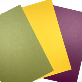 Farbkartonset Nr. 1 – Käfer & Co