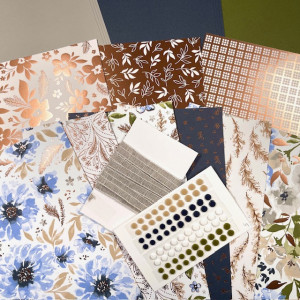 Probierpaket Nr.  5 – Traumhaft Zart