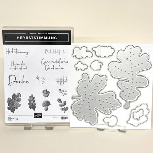 Stempelset stampin up